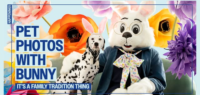 Pet Photos with Bunny