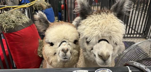 Boulder County Fairgrounds