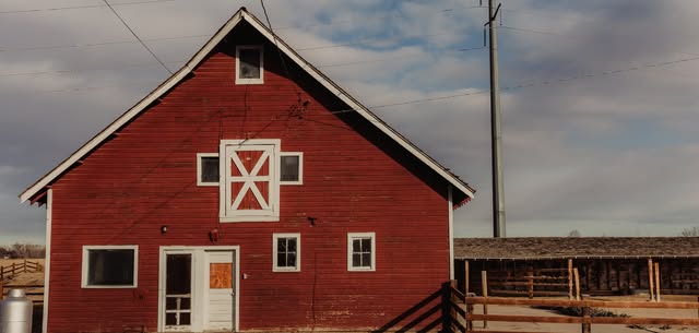 Pedro's Birthday Bash