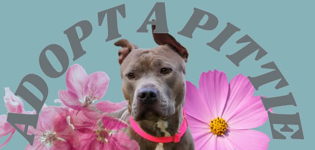 Adoption Event January 10th & 11th