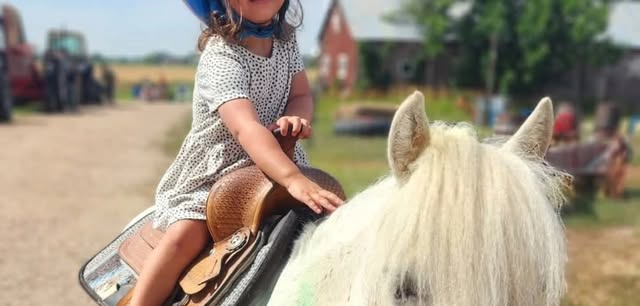 Ponyrides at The Bee Hugger