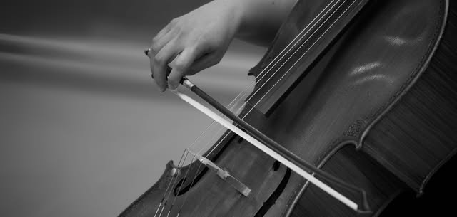 Chamber Orchestra: Music that Moves