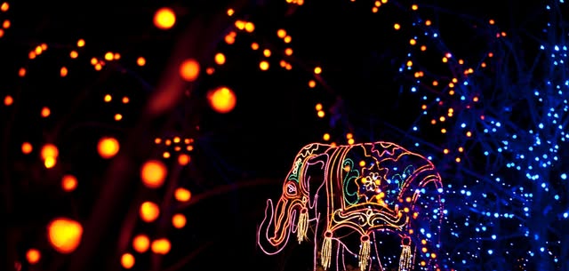 Zoo Lights: Sensory-Friendly Night