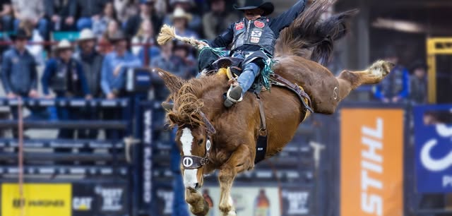 Pro Rodeo