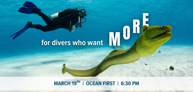 Serious About Diving? Go Pro with Ocean First