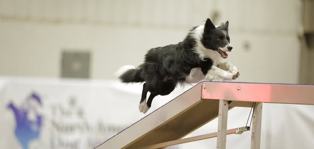 March 6-8, 2026 MDS NADAC Trial