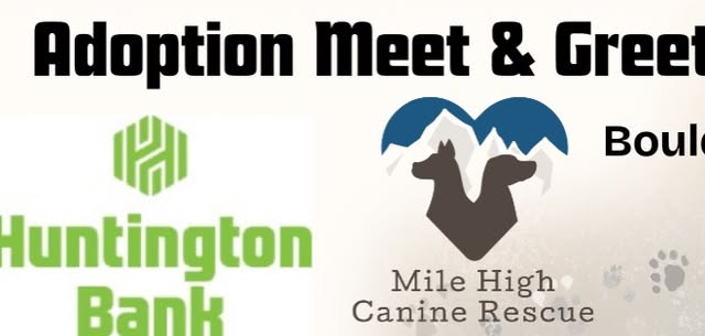 Huntington Bank Pup-Up Event, Boulder