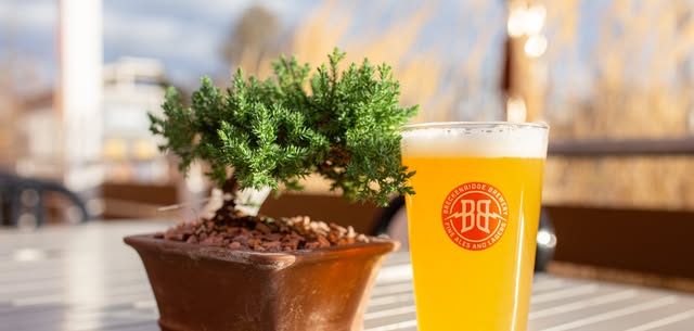 Bonsai Class at Breckenridge Brewery