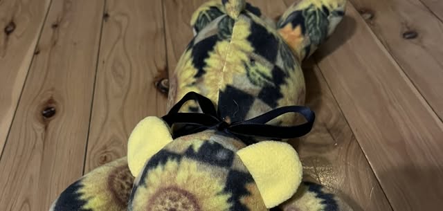 Beginner Stuffed Bear