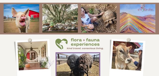 Crepe Therapy - Monthly Vegan Restaurant Meetup