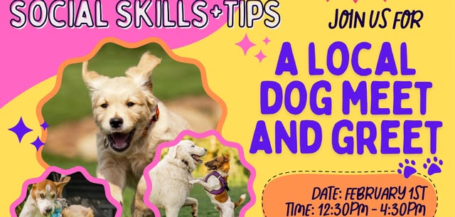 Local dog meet and great!