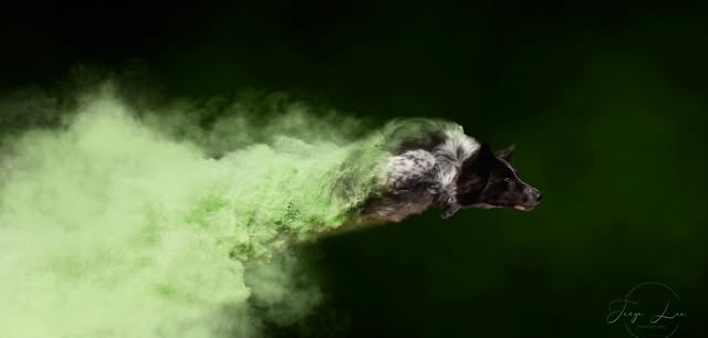 January 2-4, 2026 MDS NADAC Trial