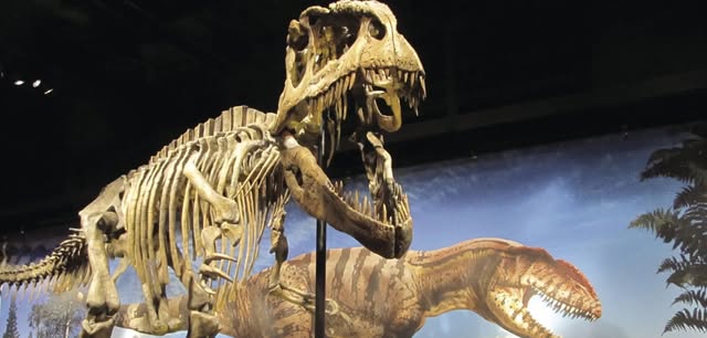 Denver Museum of Nature and Science Free Day!